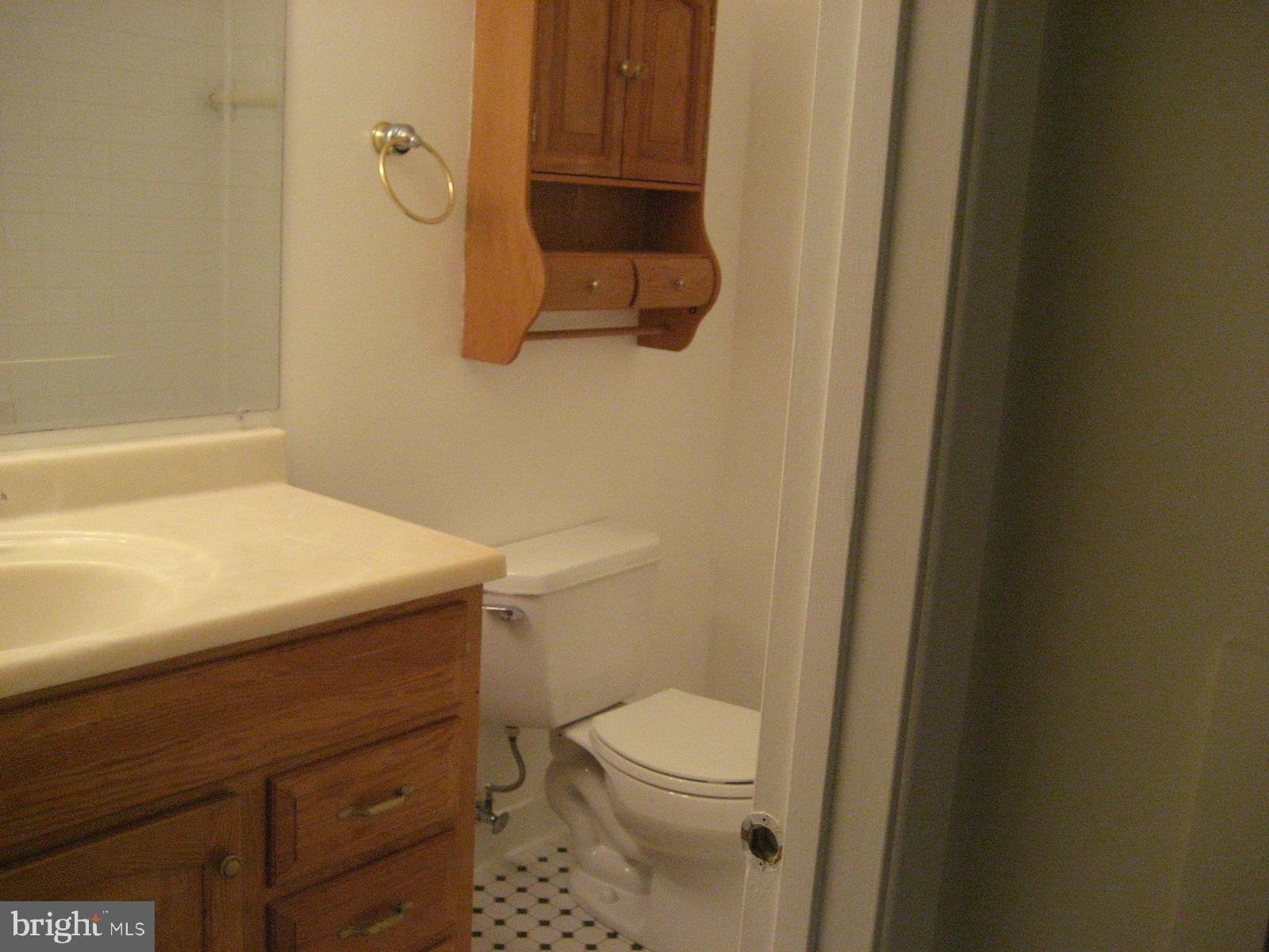 209 Dover Road Warrenton, VA 20186 - Photo 22 of 30 a bathroom with a sink a toilet and shower