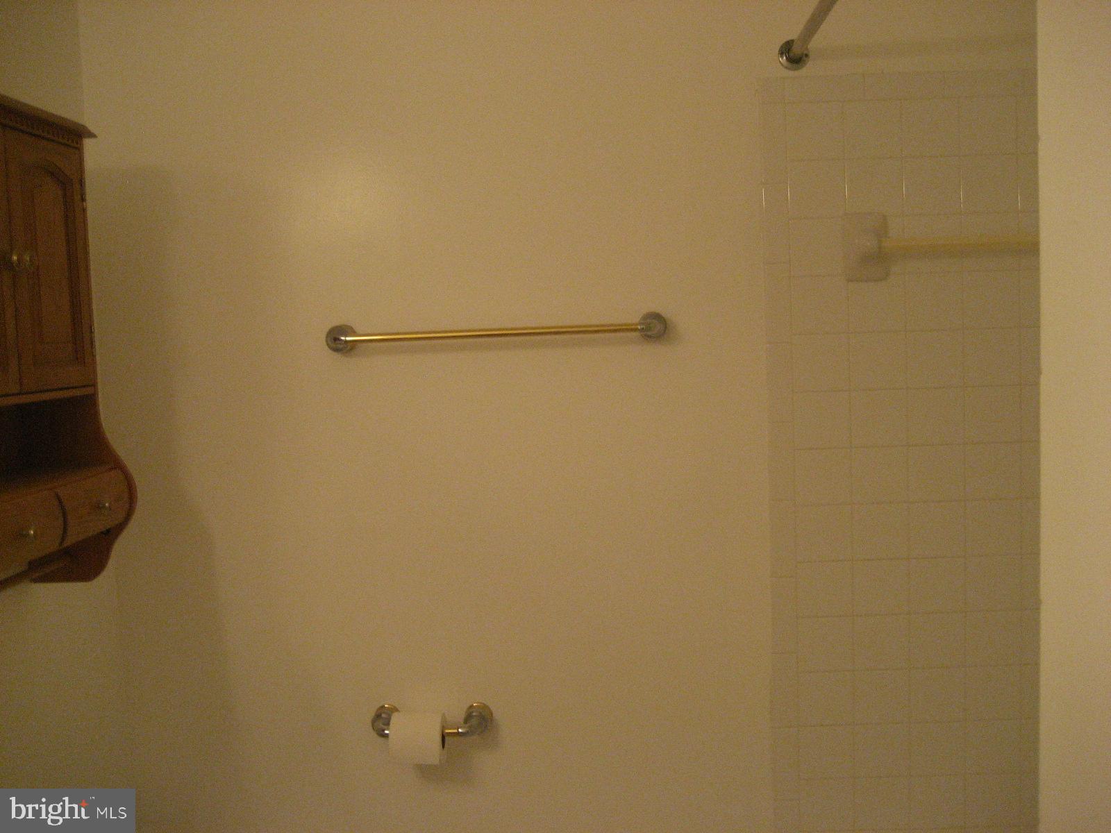 209 Dover Road Warrenton, VA 20186 - Photo 23 of 30 a bathroom with a shower