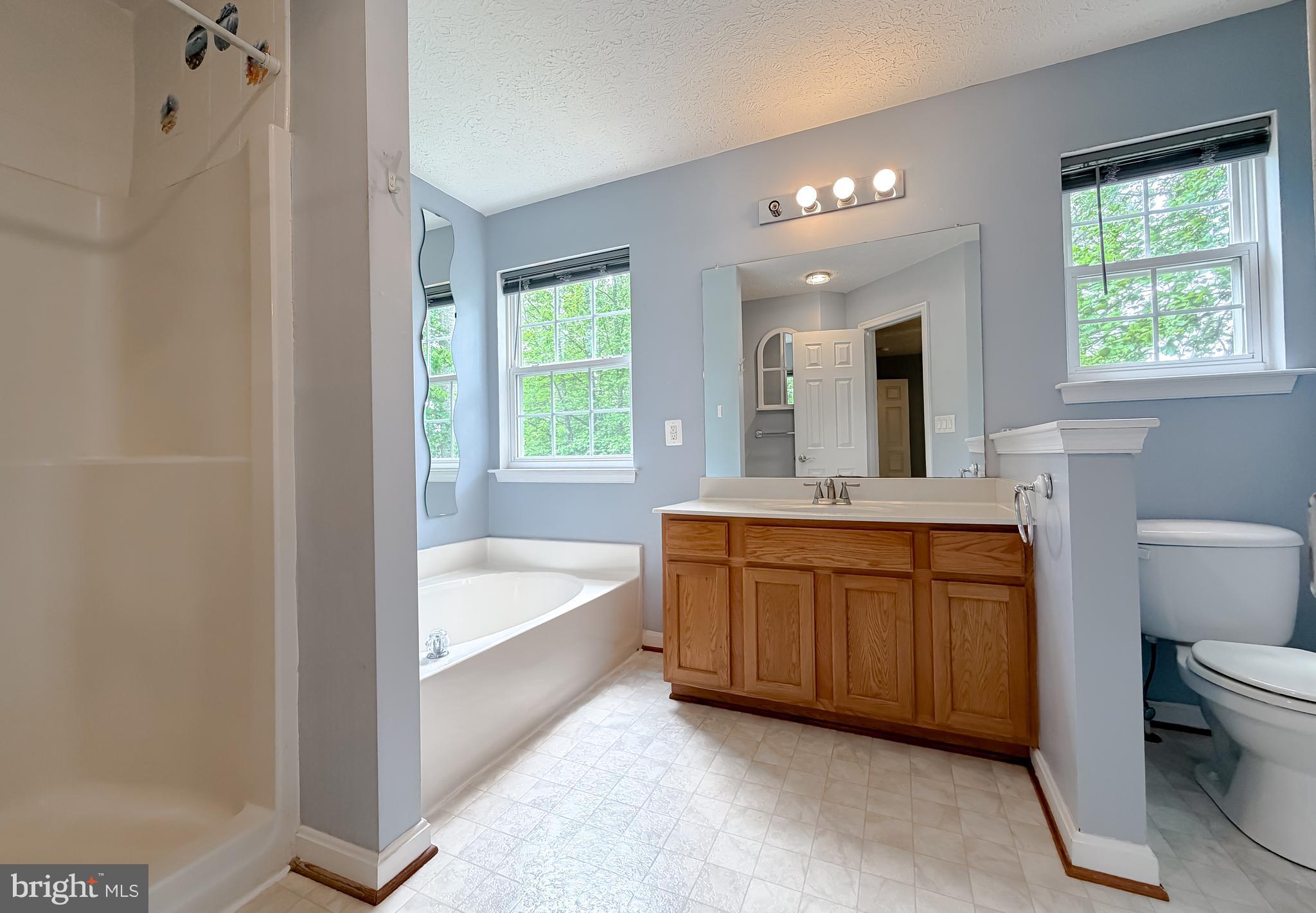 23801 McIntosh Road Hollywood, MD 20636 - Photo 15 of 35 a bathroom with a granite countertop sink toilet tub and mirror