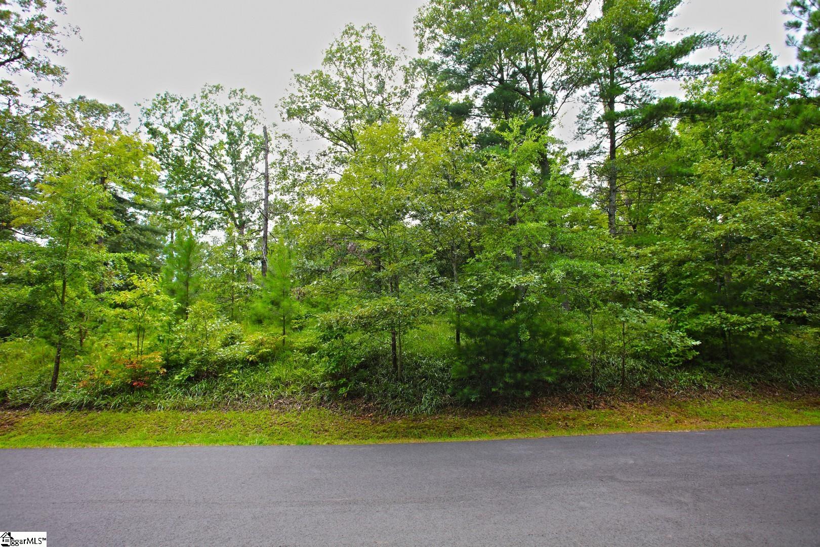 2 Pixie Moss Way Sunset, SC 29685 - Photo 11 of 36 Gallery Image 11