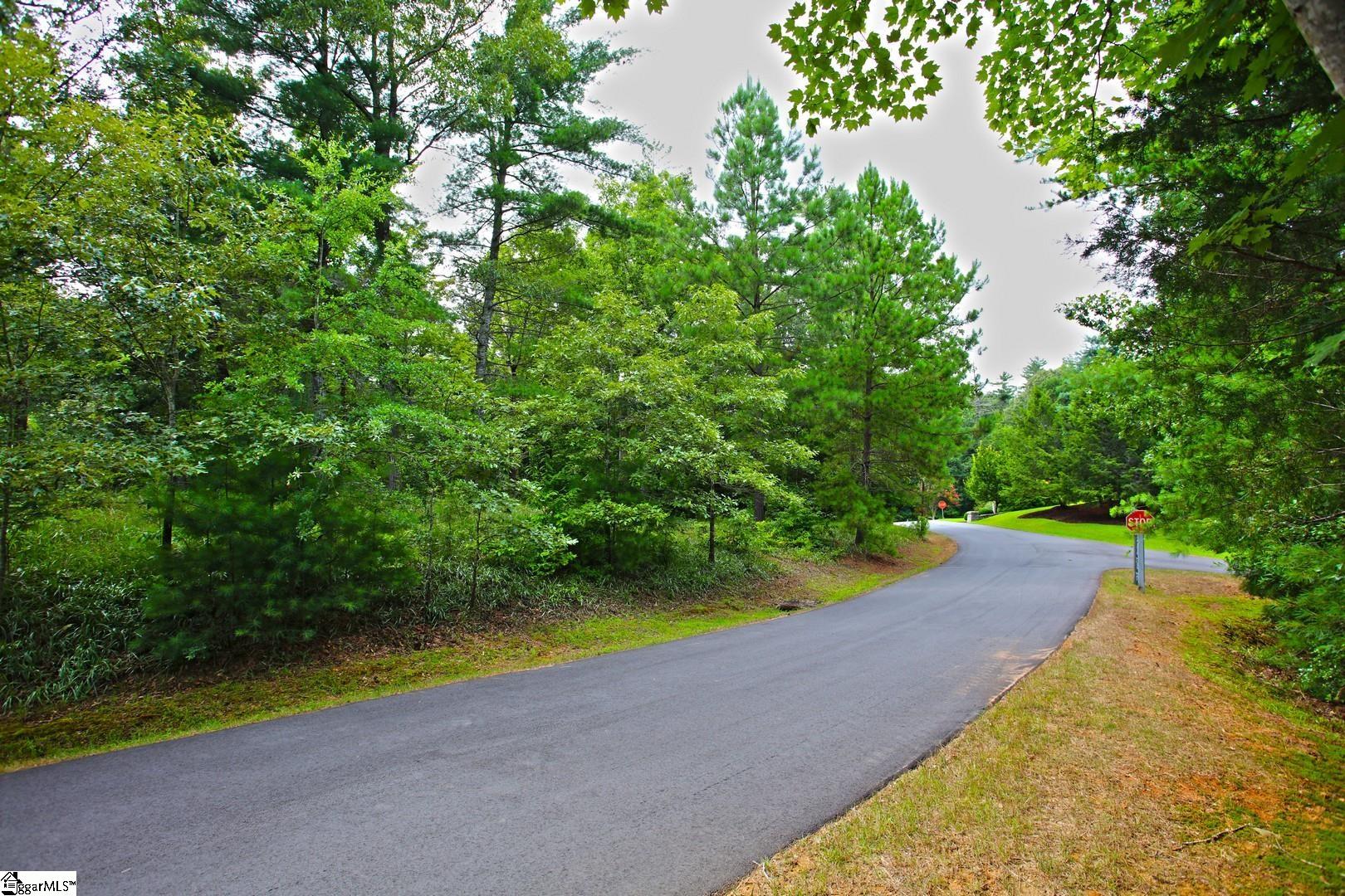 2 Pixie Moss Way Sunset, SC 29685 - Photo 13 of 36 Gallery Image 13