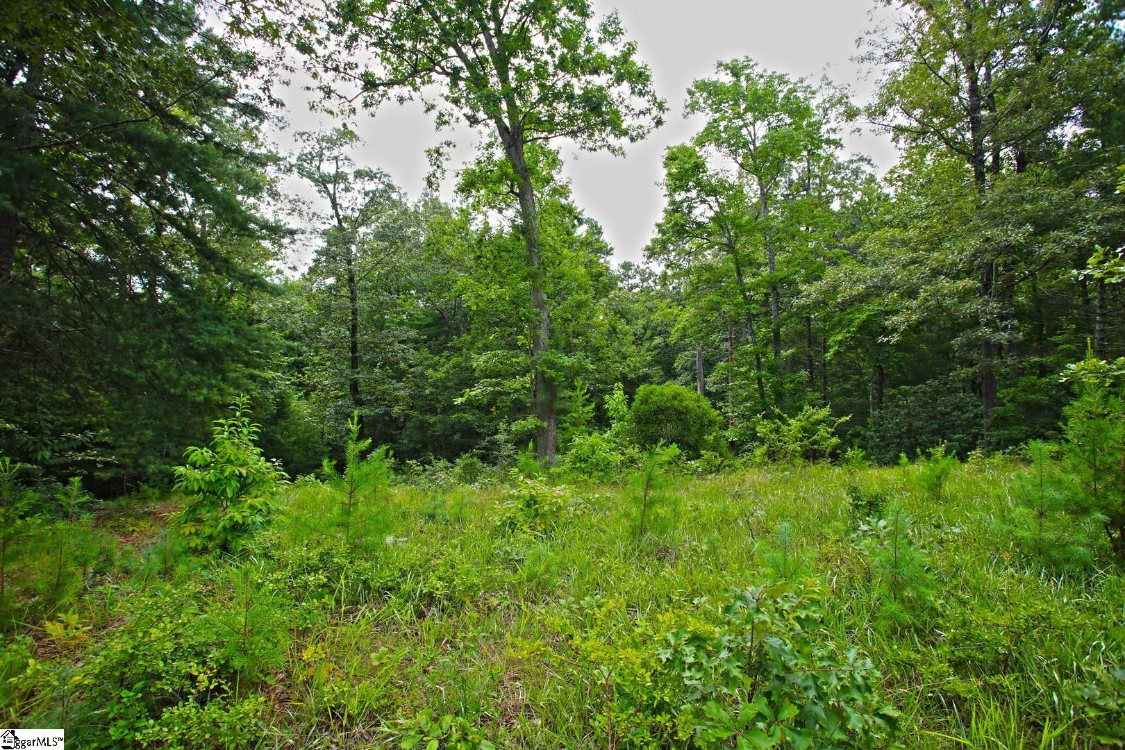 2 Pixie Moss Way Sunset, SC 29685 - Photo 15 of 36 Gallery Image 15
