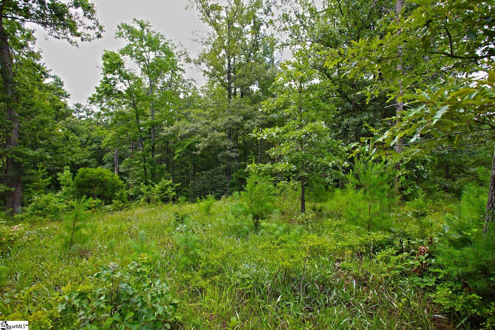 2 Pixie Moss Way Sunset, SC 29685 - Photo 16 of 36 Gallery Image 16