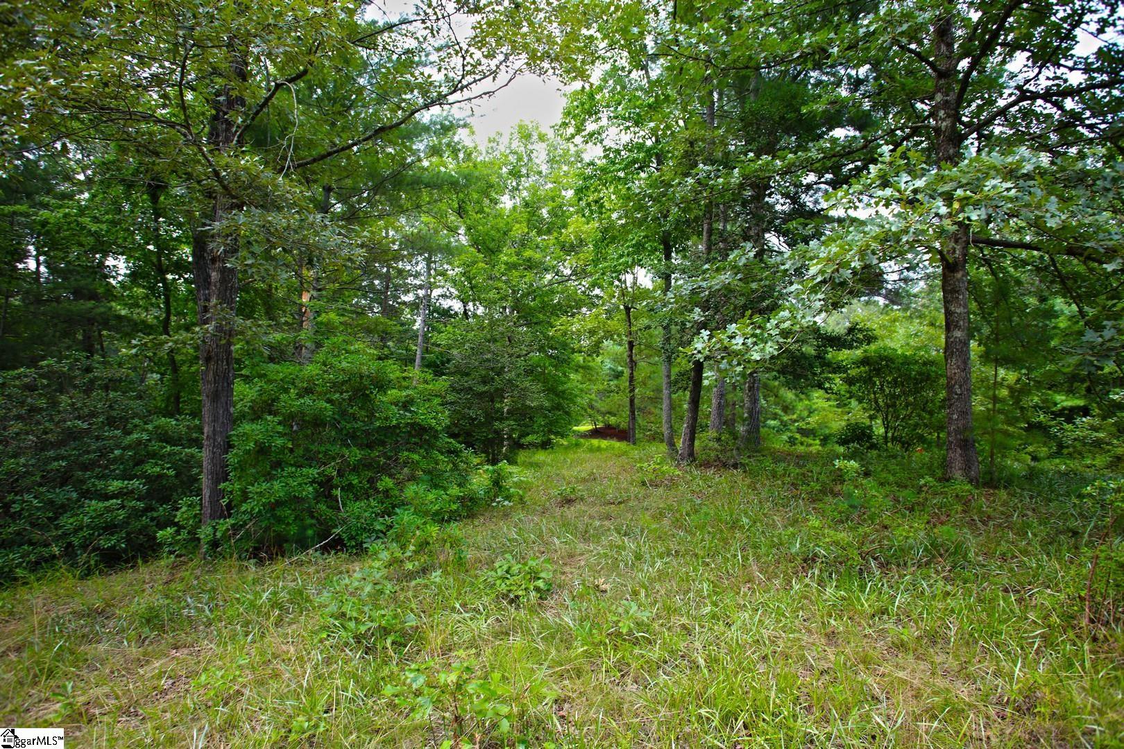 2 Pixie Moss Way Sunset, SC 29685 - Photo 17 of 36 Gallery Image 17