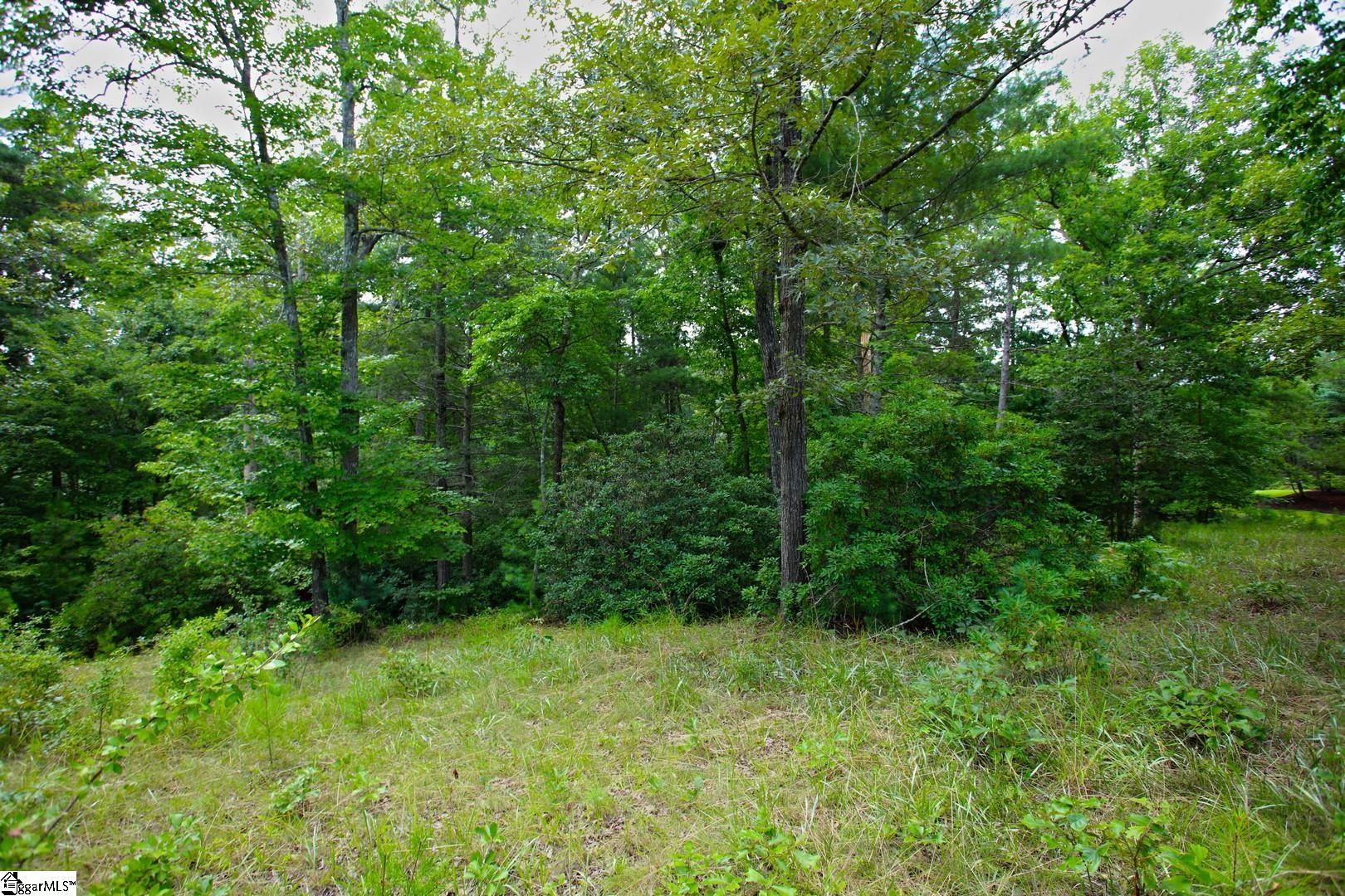 2 Pixie Moss Way Sunset, SC 29685 - Photo 18 of 36 Gallery Image 18