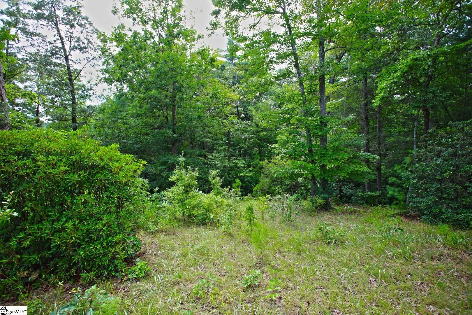 2 Pixie Moss Way Sunset, SC 29685 - Photo 19 of 36 Gallery Image 19