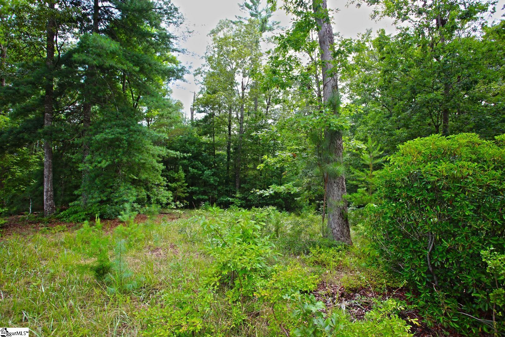 2 Pixie Moss Way Sunset, SC 29685 - Photo 20 of 36 Gallery Image 20