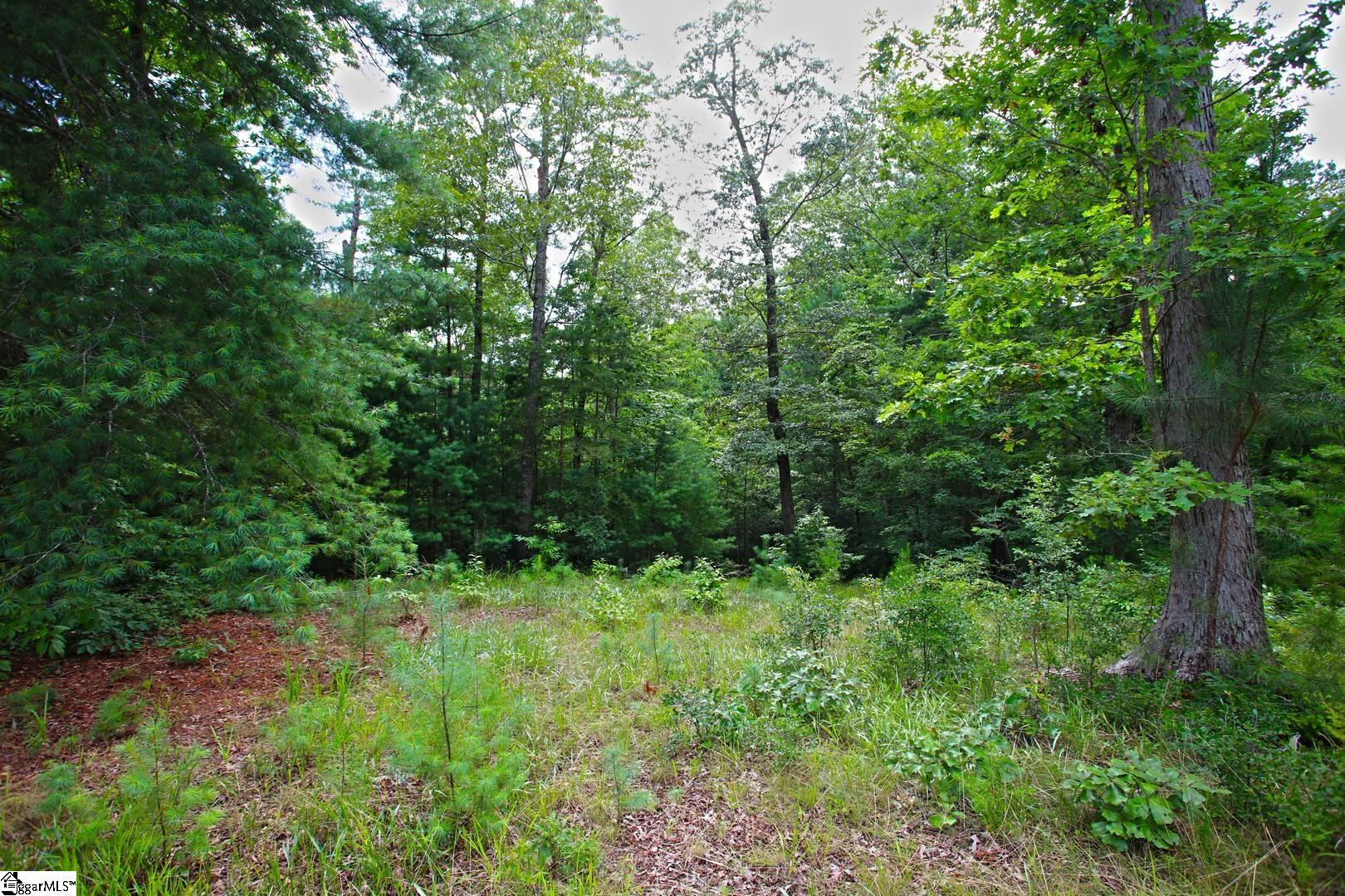 2 Pixie Moss Way Sunset, SC 29685 - Photo 21 of 36 Gallery Image 21