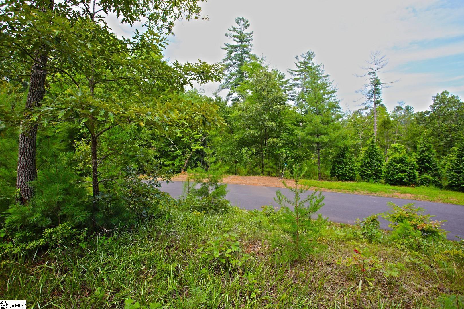 2 Pixie Moss Way Sunset, SC 29685 - Photo 22 of 36 Gallery Image 22