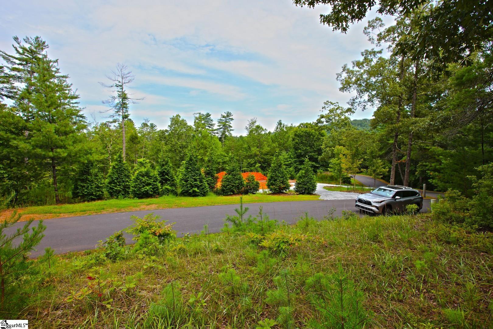 2 Pixie Moss Way Sunset, SC 29685 - Photo 23 of 36 Gallery Image 23