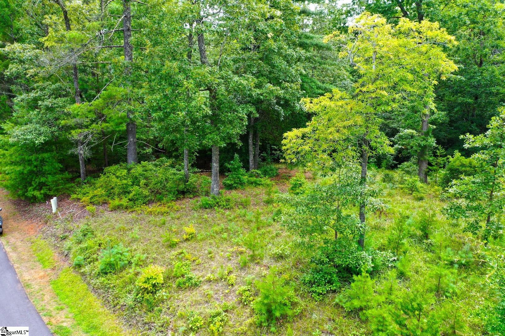 2 Pixie Moss Way Sunset, SC 29685 - Photo 25 of 36 Gallery Image 25