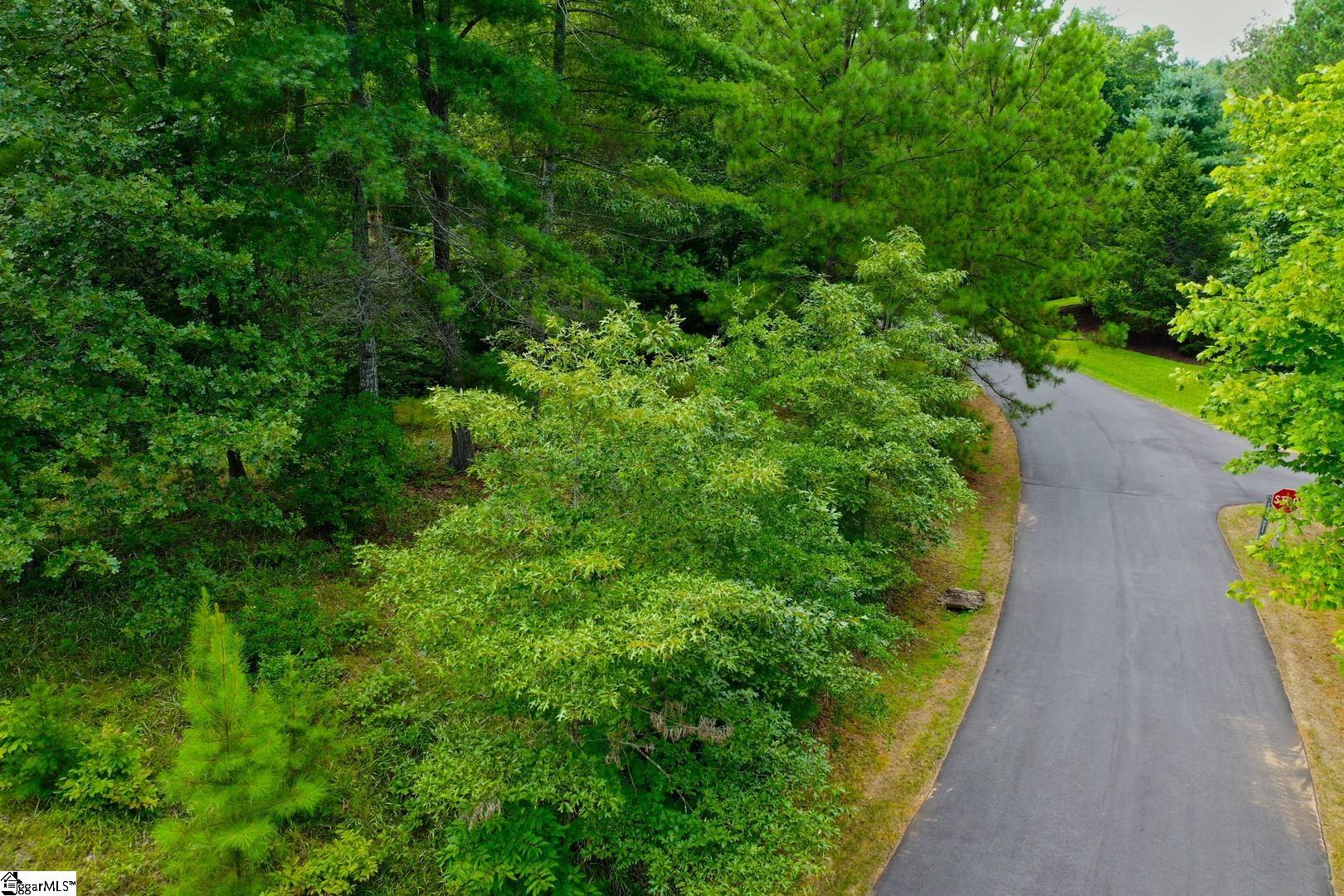 2 Pixie Moss Way Sunset, SC 29685 - Photo 26 of 36 Gallery Image 26