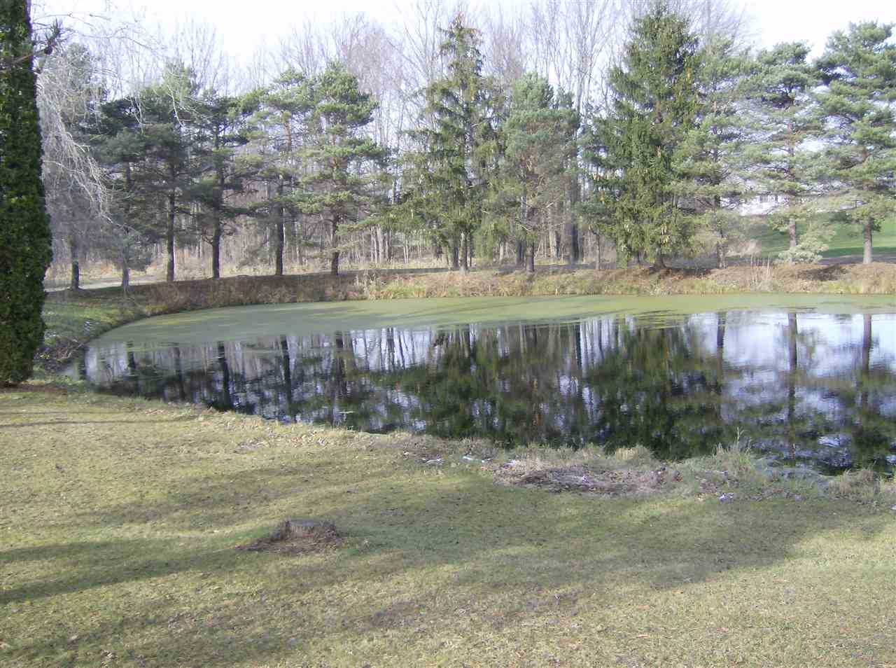 9752 East Fremont Road Shepherd, MI 48883 - Photo 7 of 26 1809256-6.JPG