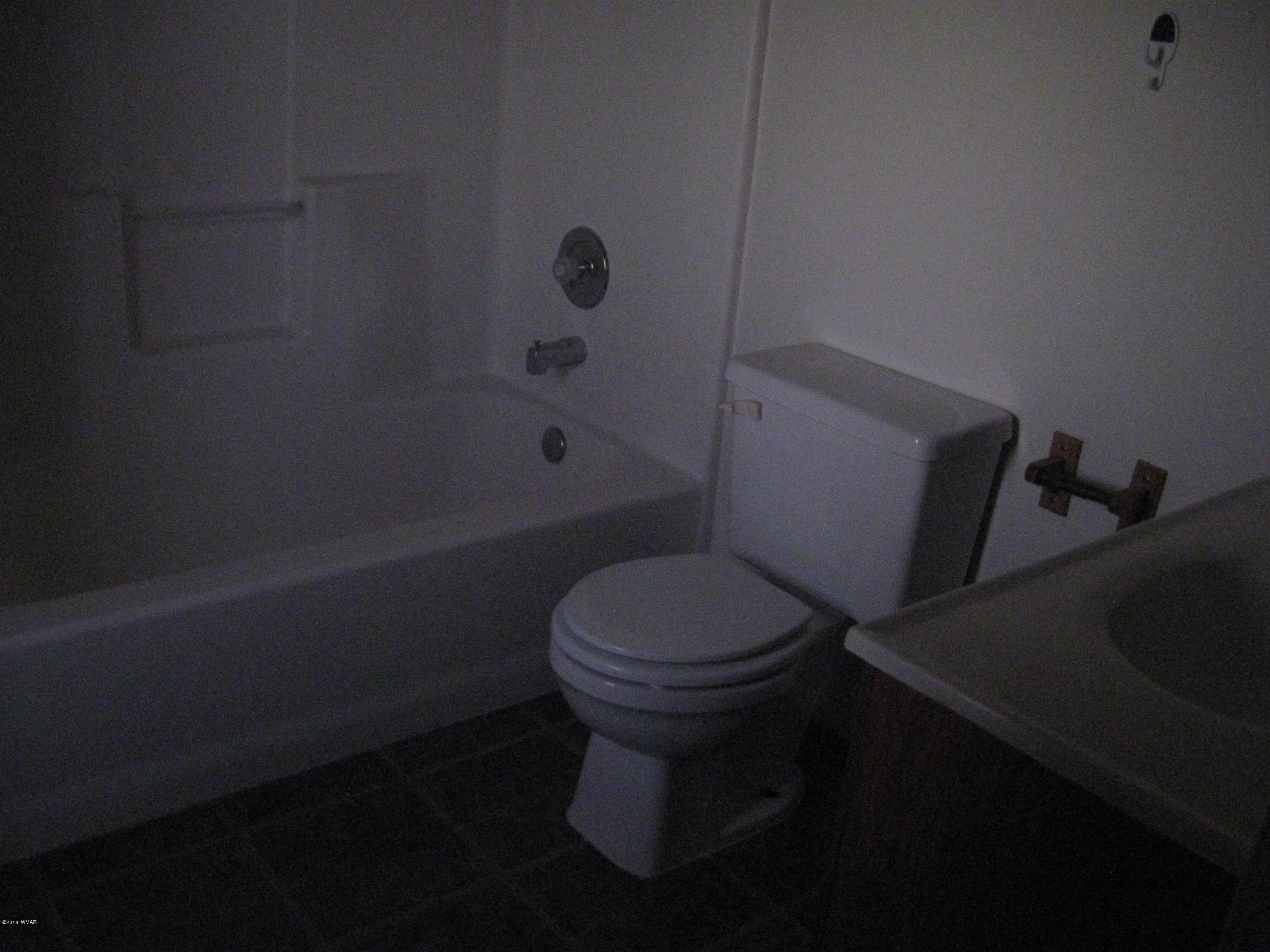 335 Pinedale Road Taylor, AZ 85939 - Photo 18 of 92 Gallery Image 18