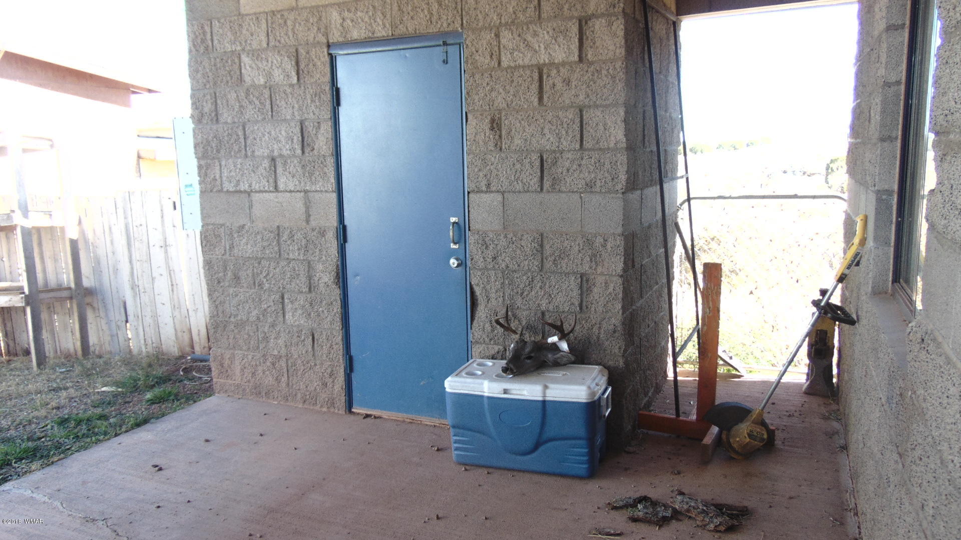 335 Pinedale Road Taylor, AZ 85939 - Photo 48 of 92 Gallery Image 48