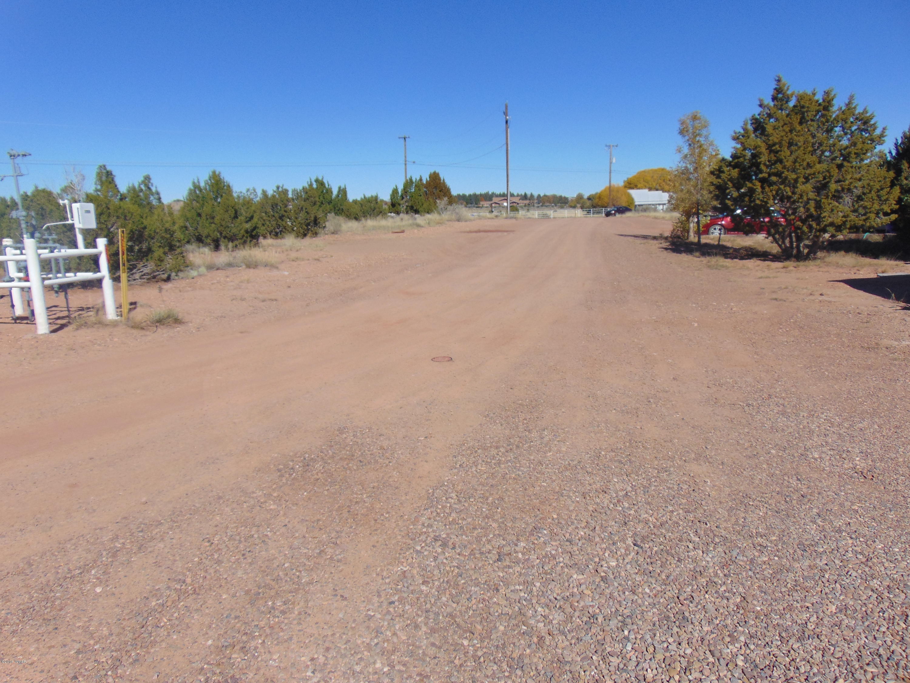 335 Pinedale Road Taylor, AZ 85939 - Photo 60 of 92 Gallery Image 60