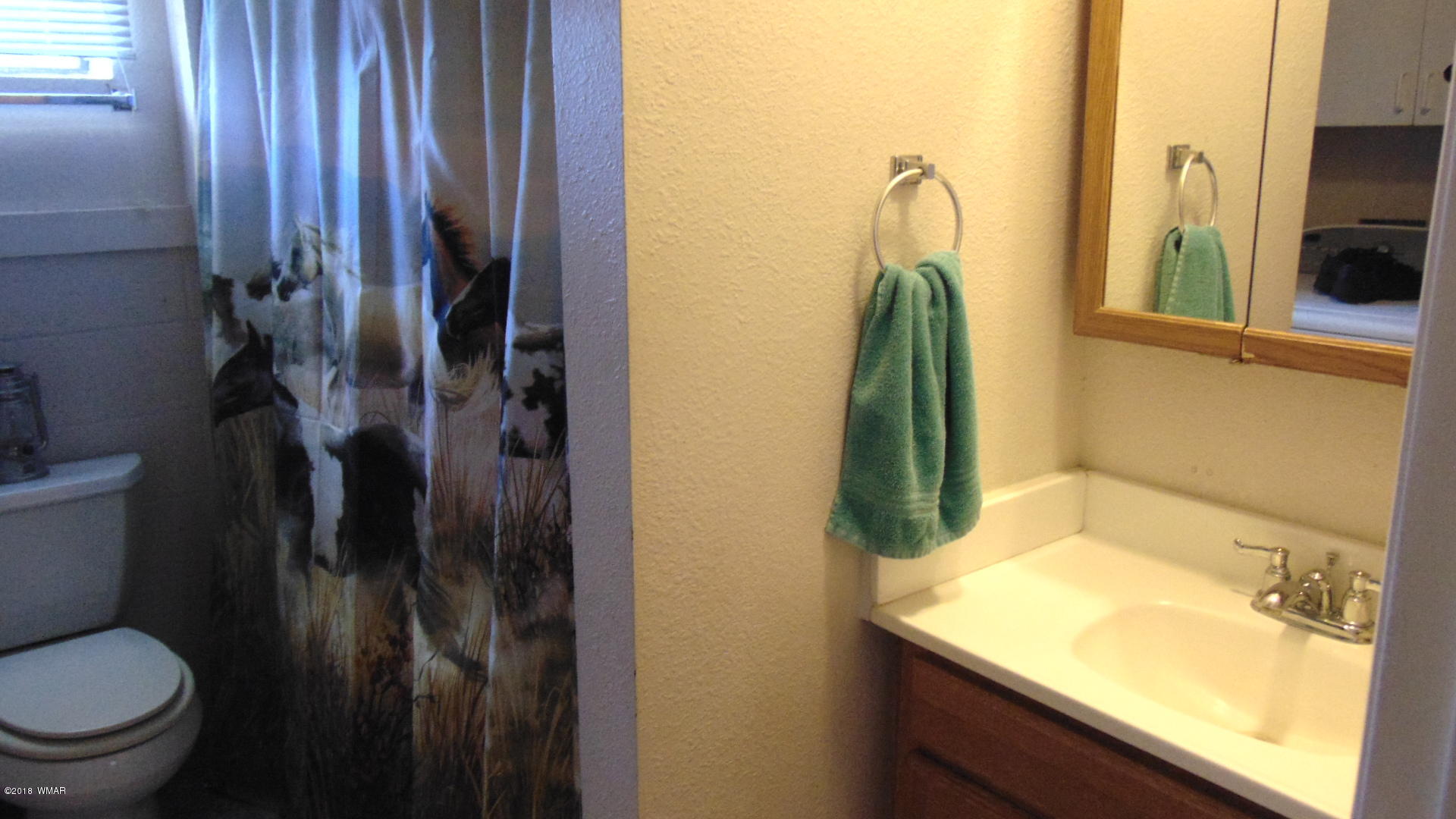 335 Pinedale Road Taylor, AZ 85939 - Photo 74 of 92 Gallery Image 74