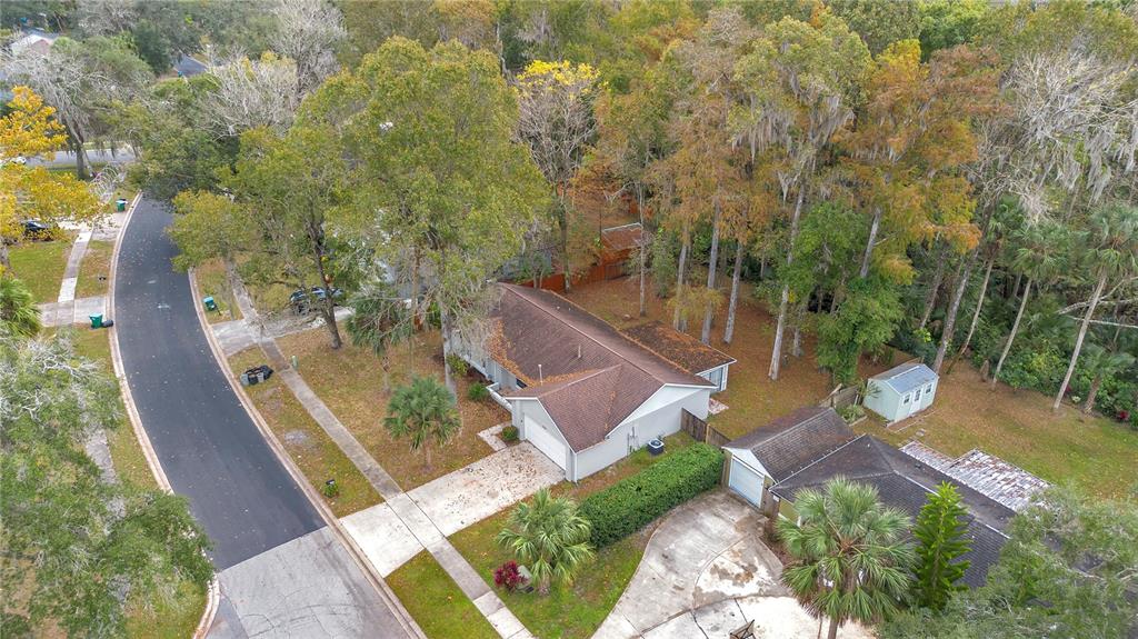 709 Sailfish Road Winter Springs, FL 32708 - Photo 26 of 28 a view of yard