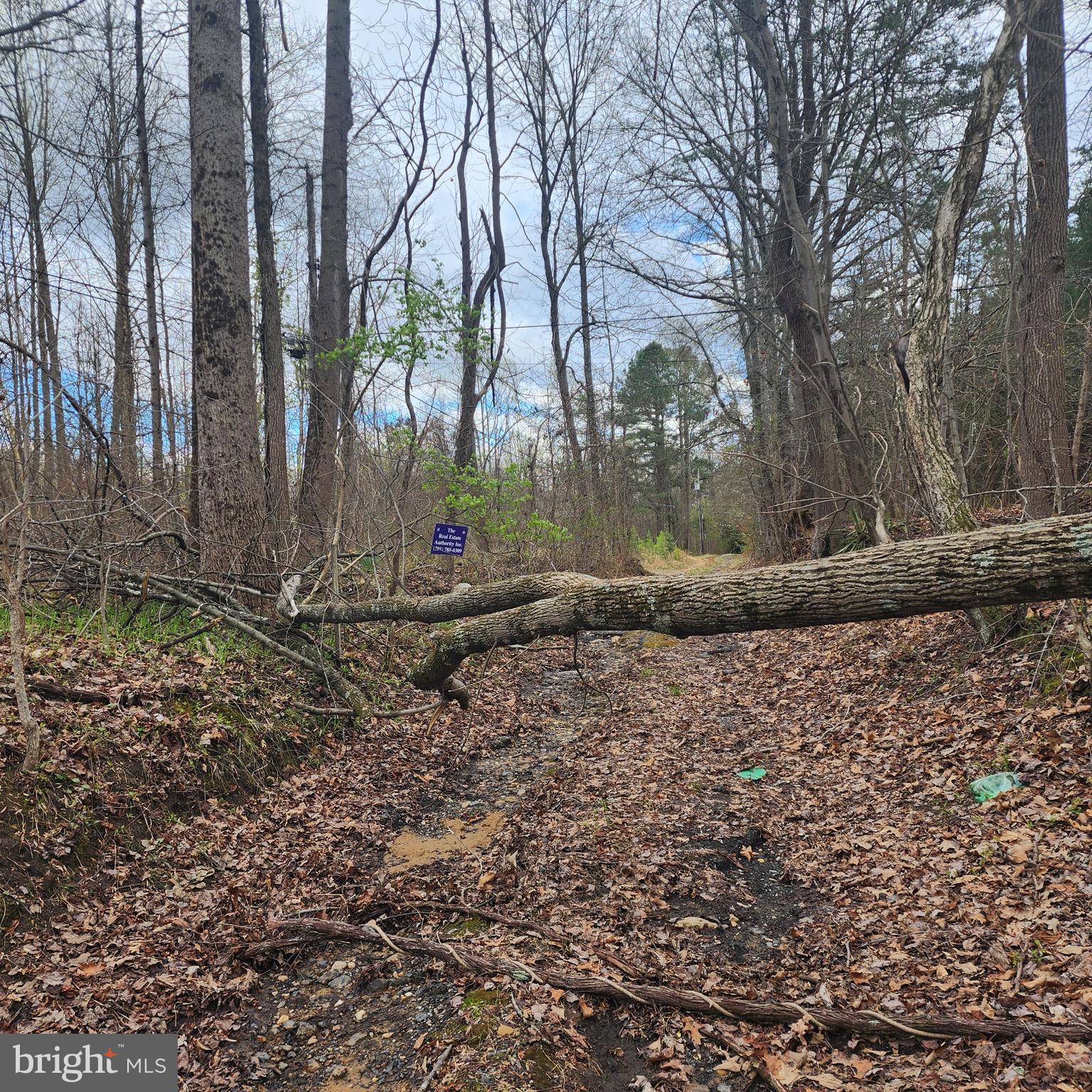 12947 Fletchertown Road Bowie, MD 20720 - Photo 6 of 8 tree blocking road