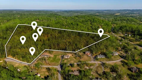 a view of backyard with tree