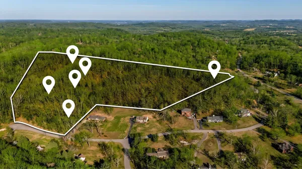 a view of backyard with tree