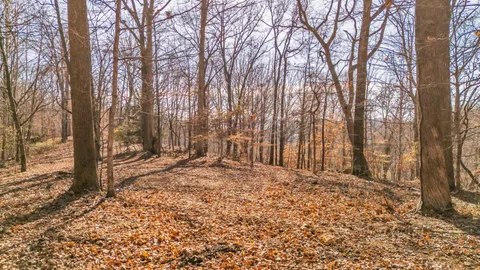 a view of wooden fence and trees