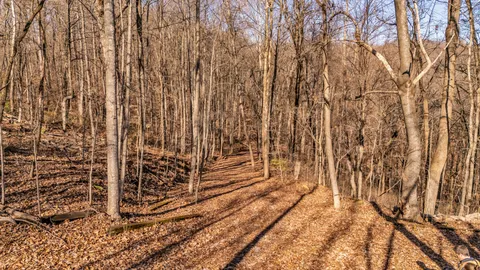 $2,299,000 | 218 Forest Ridge Court, Franklin, TN 37069