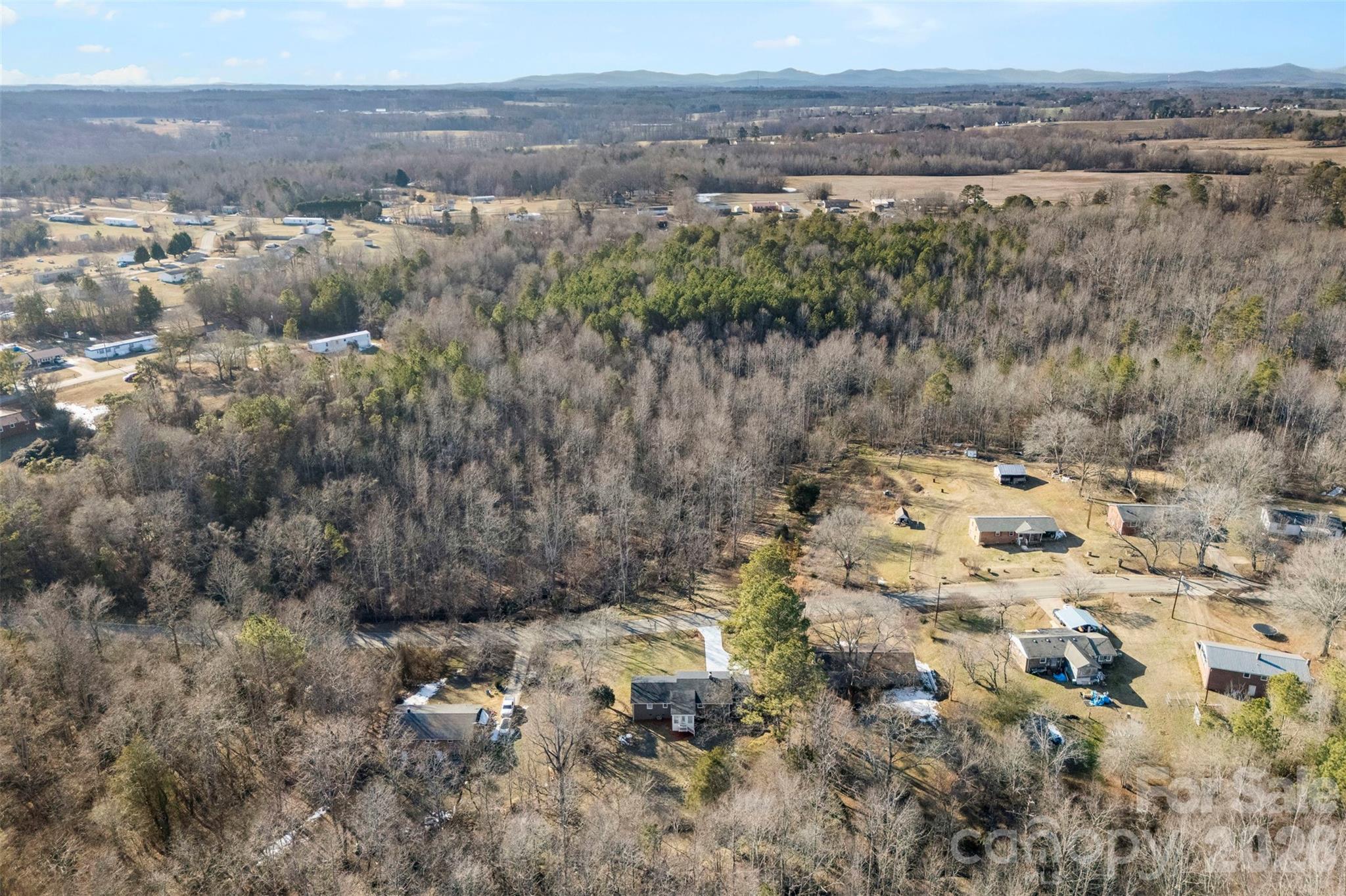 161 Potato House Road Lawndale, NC 28090 - Photo 31 of 33 a view of a dry yard with trees