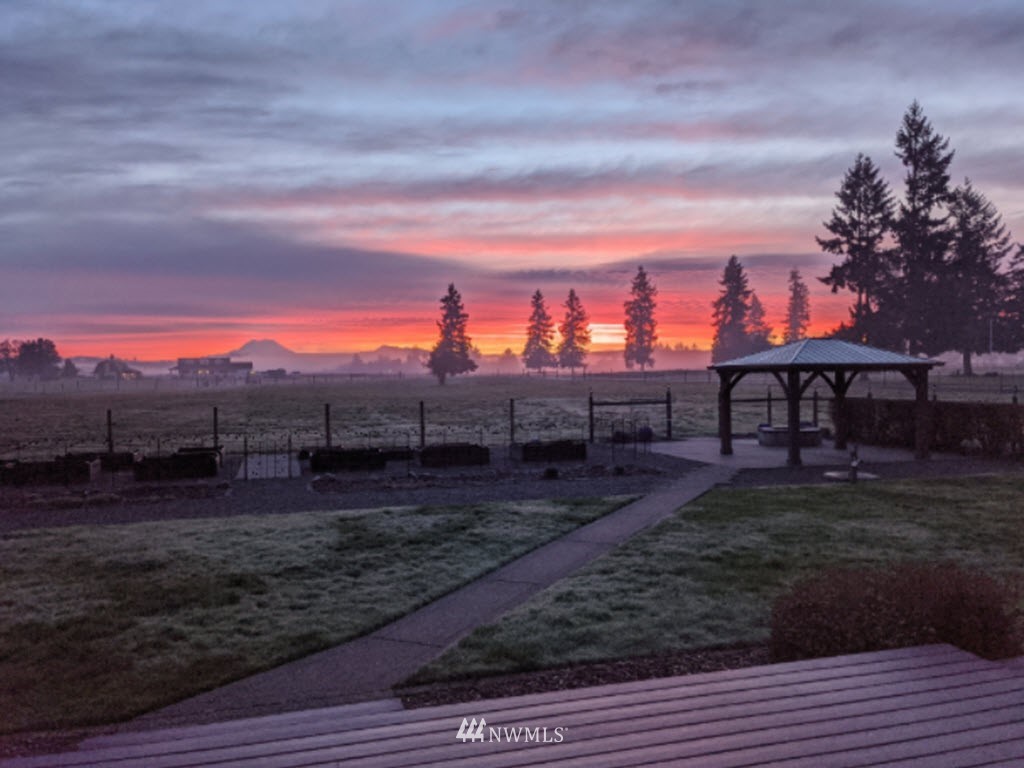 16847 Sheldon Lane Southwest Rochester, WA 98579 - Photo 11 of 40 a view of a yard and mountain