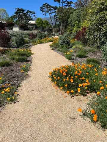 a view of a house with backyard and garden