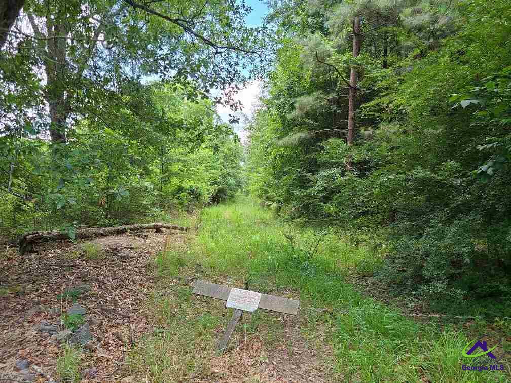 Rolling Hill Road Fort Valley, GA 31030 - Photo 2 of 8