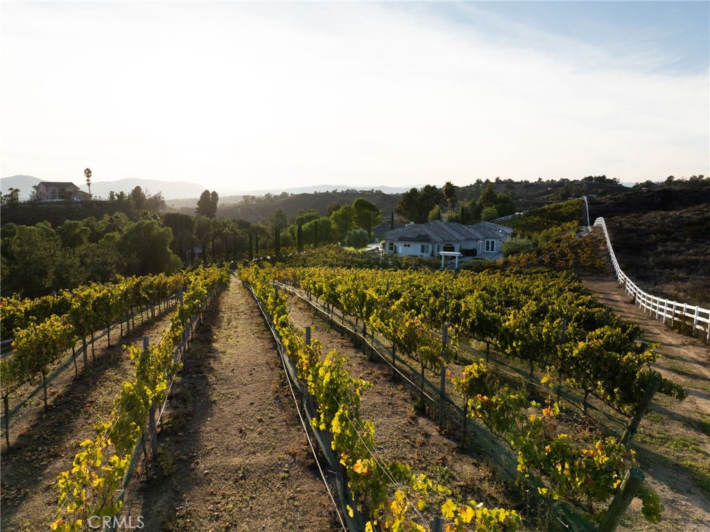 42339 Casa Verde Temecula, CA 92592 - Photo 56 of 59