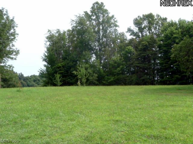 57321 St John Road Quaker City, OH 43773 - Photo 9 of 14 Gallery Image 9
