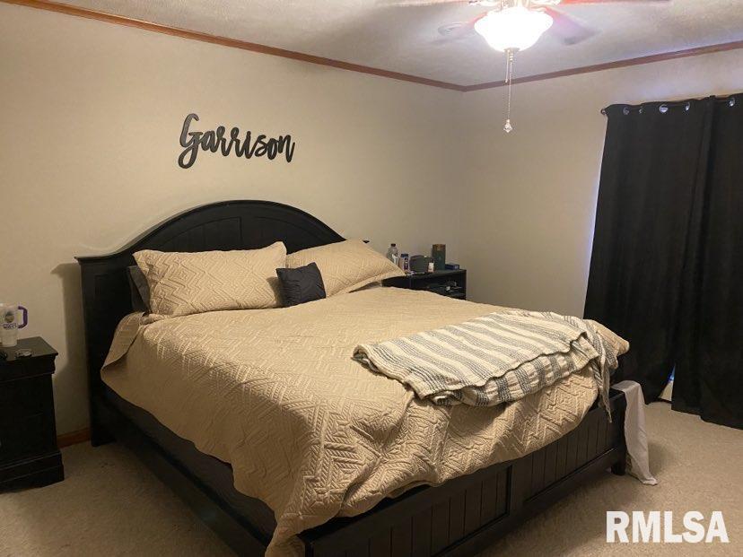 1390 Payne Road Galatia, IL 62935 - Photo 10 of 13 Gallery Image 10