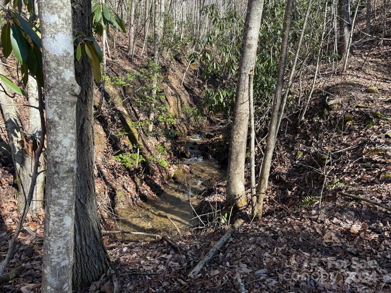 0 Bear Mountain Road Murphy, NC 28906 - Photo 13 of 38 a view of forest