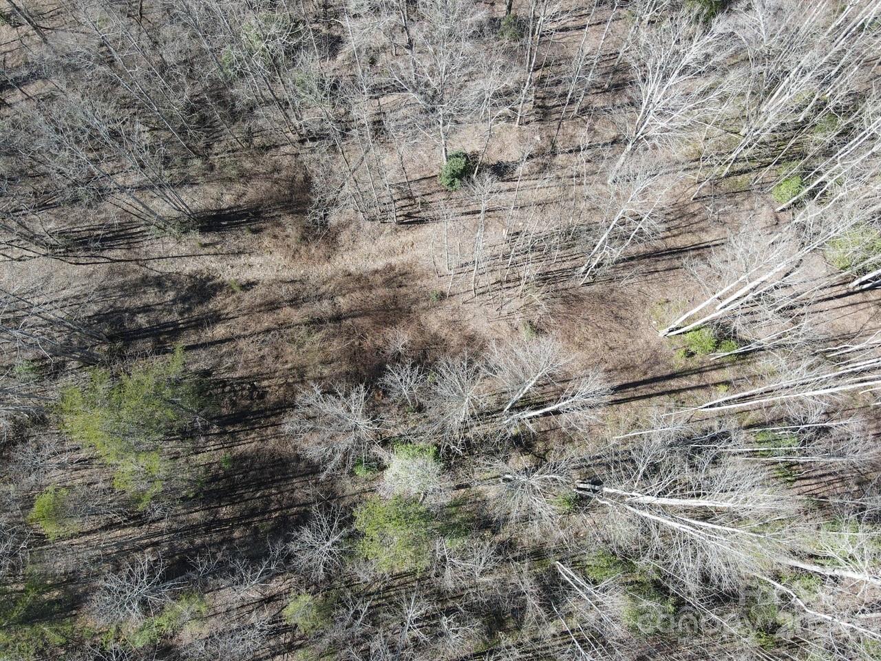 0 Bear Mountain Road Murphy, NC 28906 - Photo 19 of 38 a view of a dry yard with green space