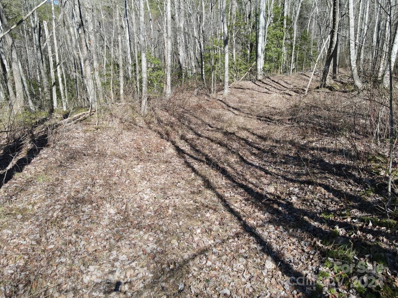 0 Bear Mountain Road Murphy, NC 28906 - Photo 20 of 38 a view of backyard with green space