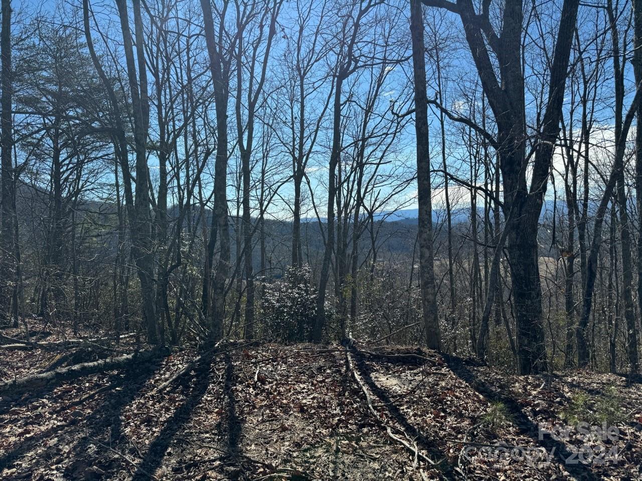 0 Bear Mountain Road Murphy, NC 28906 - Photo 2 of 38 a backyard of a house with lots of green space
