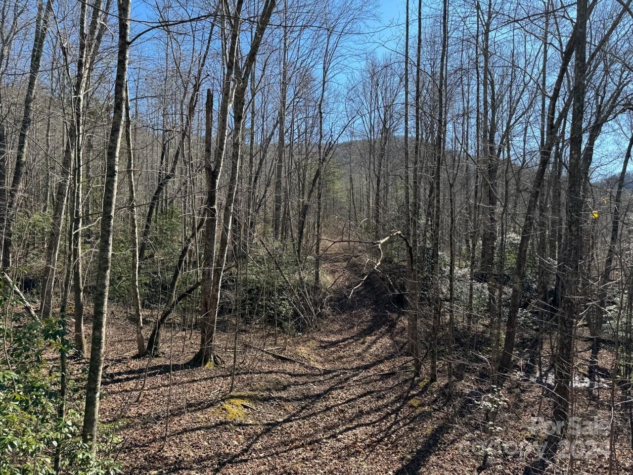 0 Bear Mountain Road Murphy, NC 28906 - Photo 22 of 38 a view of a backyard