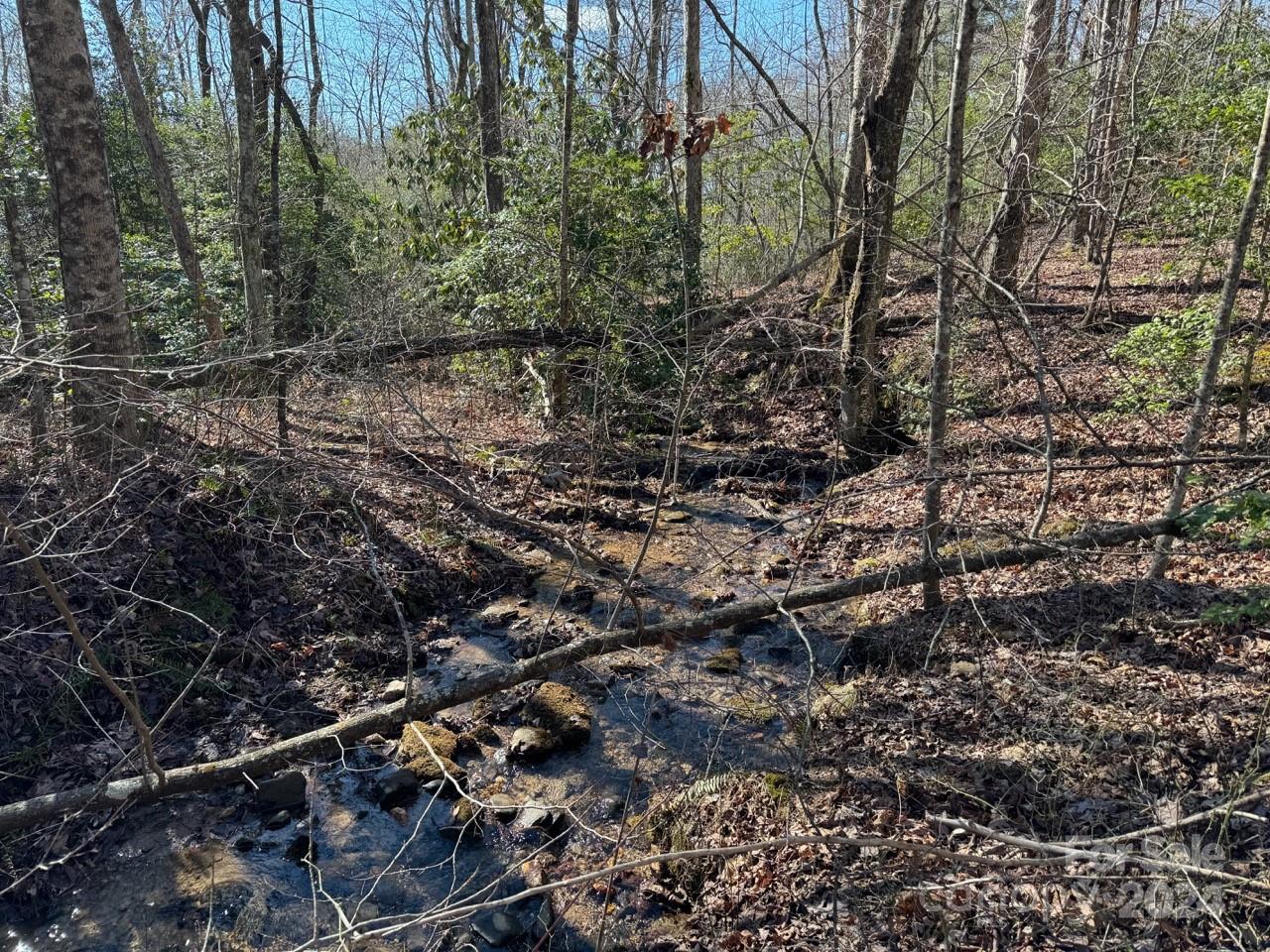 0 Bear Mountain Road Murphy, NC 28906 - Photo 23 of 38 a view of a forest with a tree