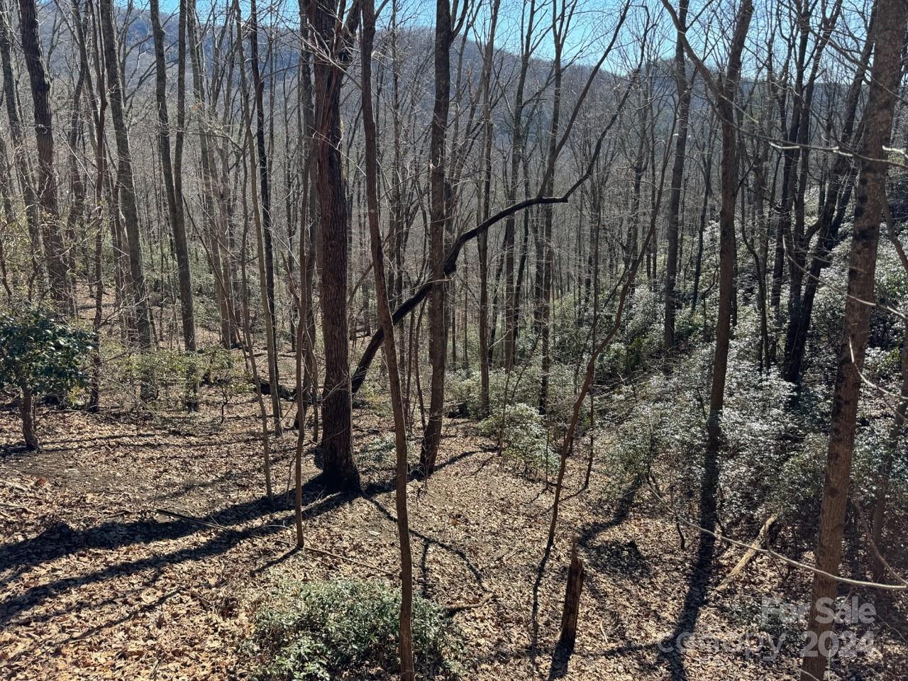 0 Bear Mountain Road Murphy, NC 28906 - Photo 24 of 38 a view of a forest with trees