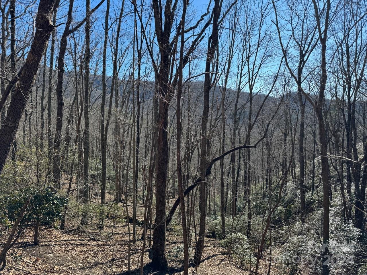 0 Bear Mountain Road Murphy, NC 28906 - Photo 26 of 38 a view of outdoor space