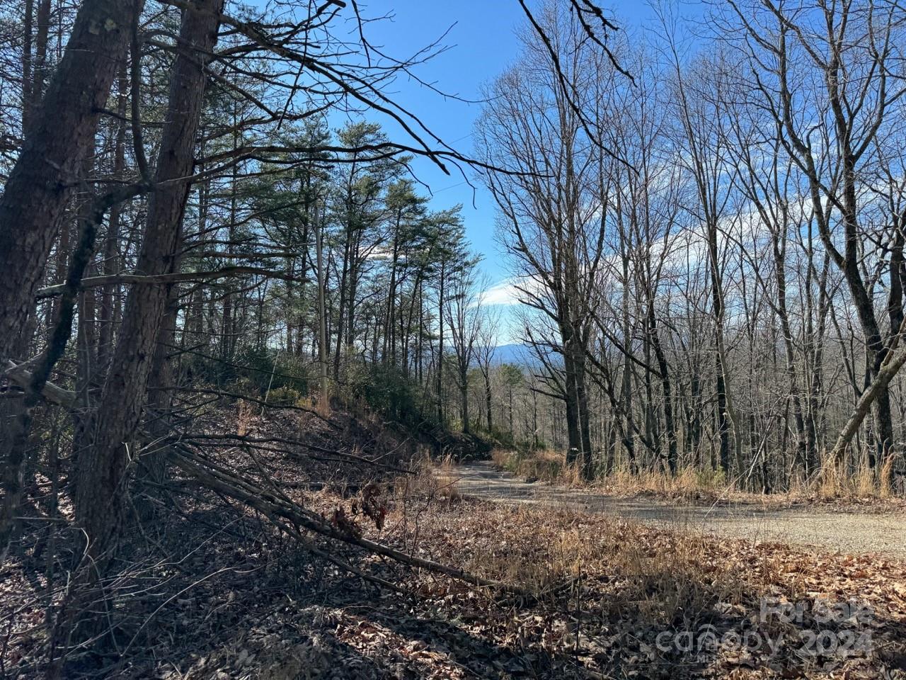 0 Bear Mountain Road Murphy, NC 28906 - Photo 27 of 38 a view of a yard with plants and trees