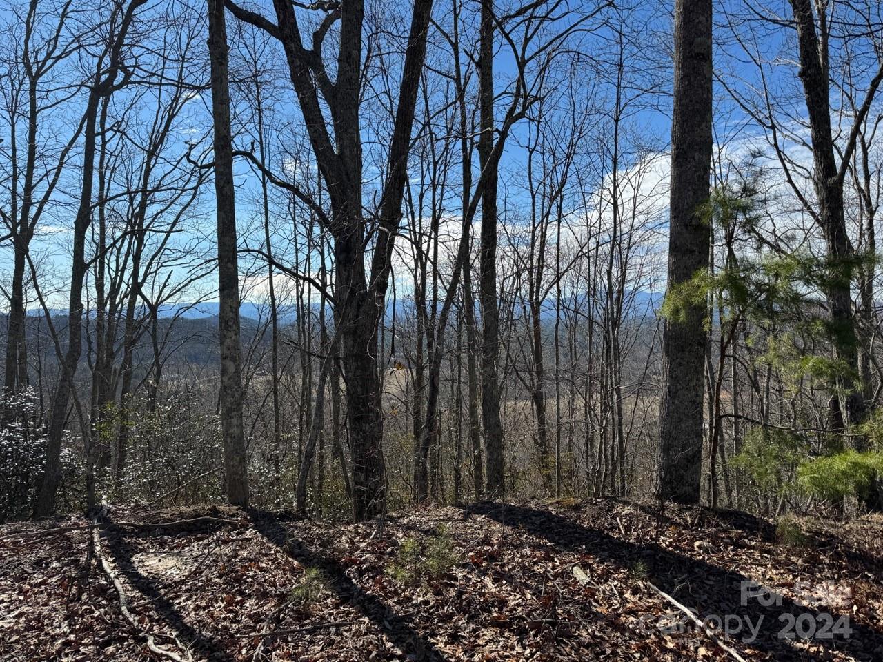 0 Bear Mountain Road Murphy, NC 28906 - Photo 29 of 38 a view of a backyard of the house