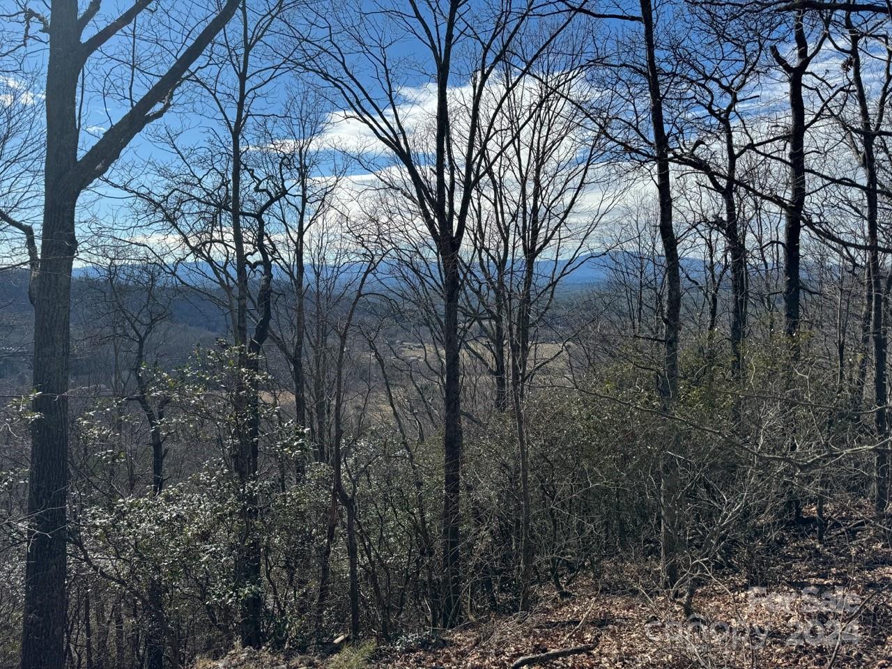 0 Bear Mountain Road Murphy, NC 28906 - Photo 30 of 38 a view of forest