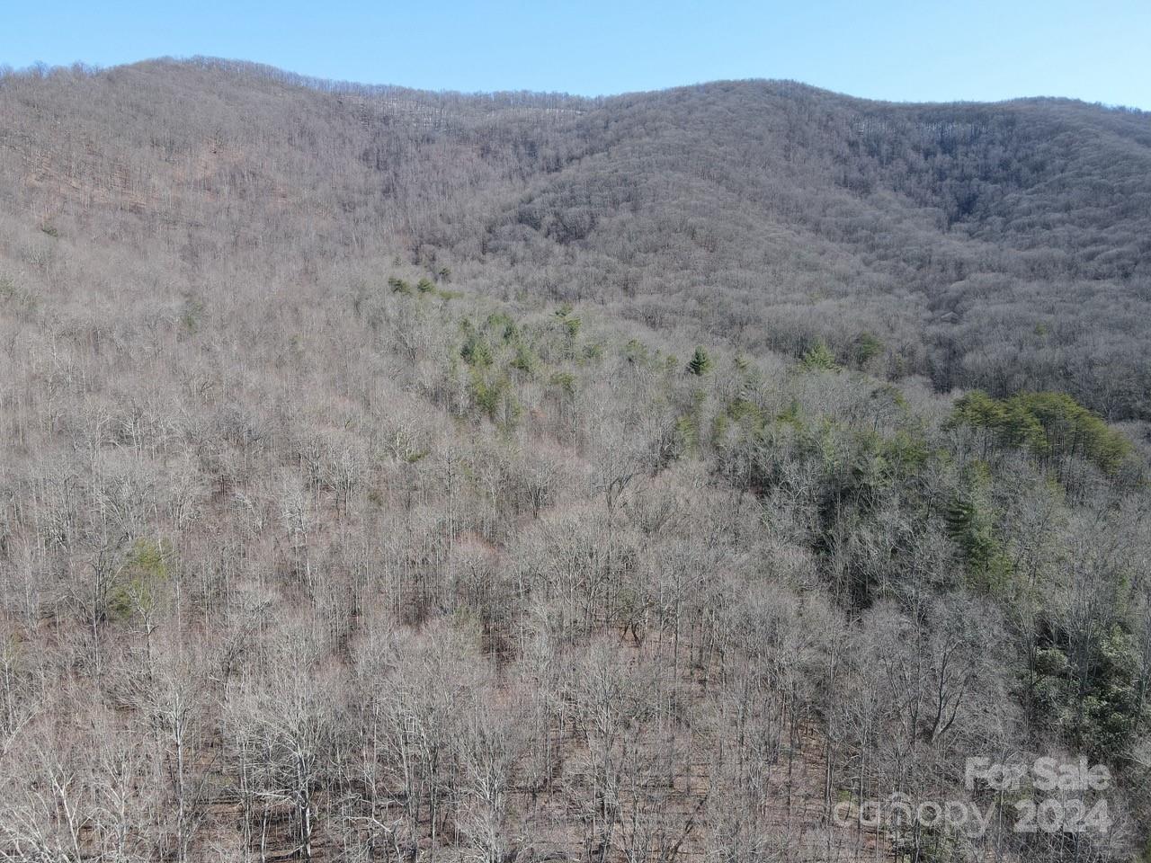0 Bear Mountain Road Murphy, NC 28906 - Photo 3 of 38 a view of a dry field