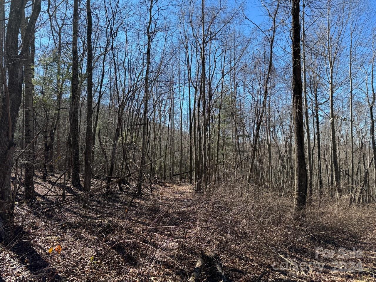 0 Bear Mountain Road Murphy, NC 28906 - Photo 5 of 38 a view of outdoor space and trees