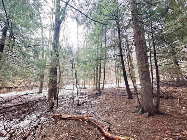 $250,000 | 70 Fairwood Heights, Morristown, VT 05661