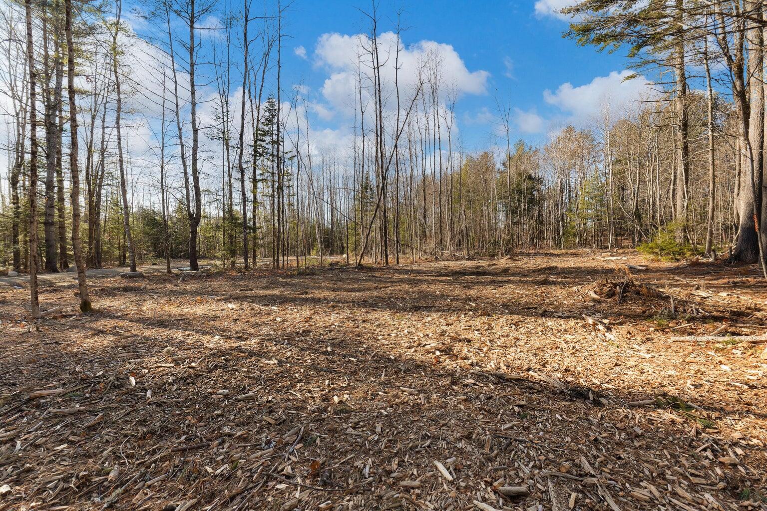 Lot #11 Pine Hill Road Palermo, ME 04354 - Photo 4 of 4 Lot 11 - 3