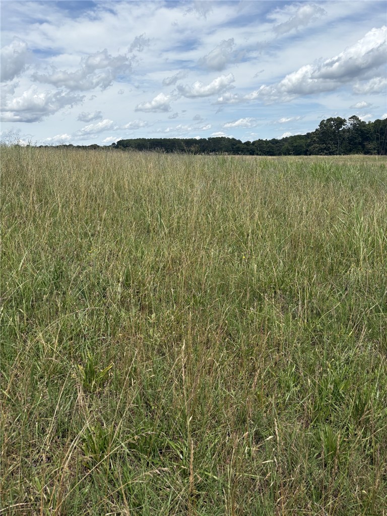 Lot 2 Joyo Road Iva, SC 29655 - Photo 3 of 4